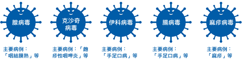 腺病毒 | 主要病例：「咽結膜熱」等／克沙奇病毒 | 主要病例：「疱疹性咽峽炎」等／伊科病毒 | 主要病例：「手足口病」等／腸病毒 | 主要病例：「手足口病」等／麻疹病毒 | 主要病例：「麻疹」等
